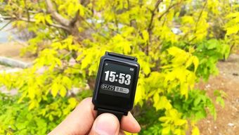 有了這些科技產(chǎn)品，你絕對(duì)瘦得起！