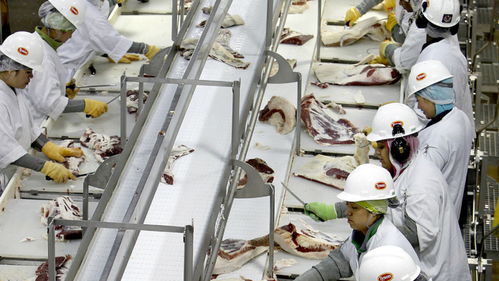 美國肉類工廠疫情危機 570人集體感染新冠，疫情期間被迫開工的背后